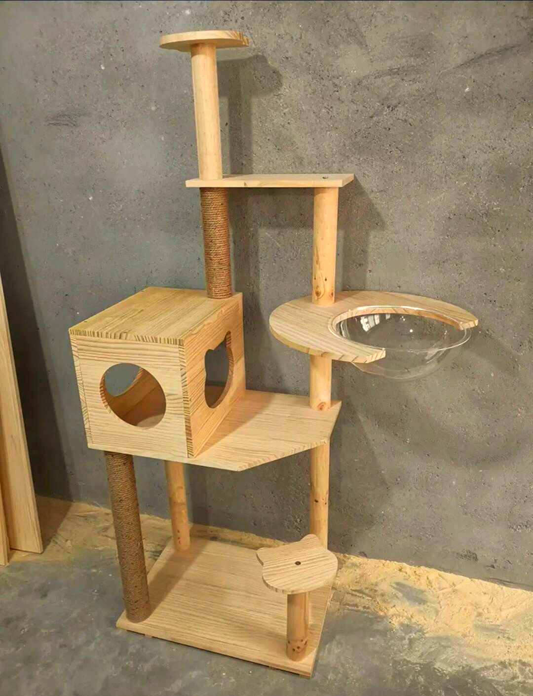 猫爬架有必要买吗(猫爬架有必要买吗?)