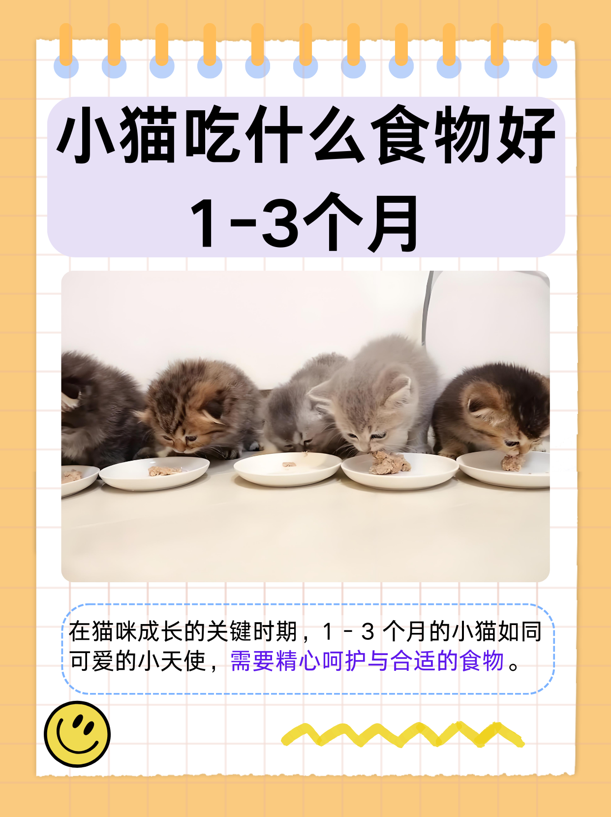 猫咪能吃哈密瓜吗(小猫咪能吃哈密瓜嘛) 猫咪能吃哈密瓜吗(小猫咪能吃哈密瓜嘛)