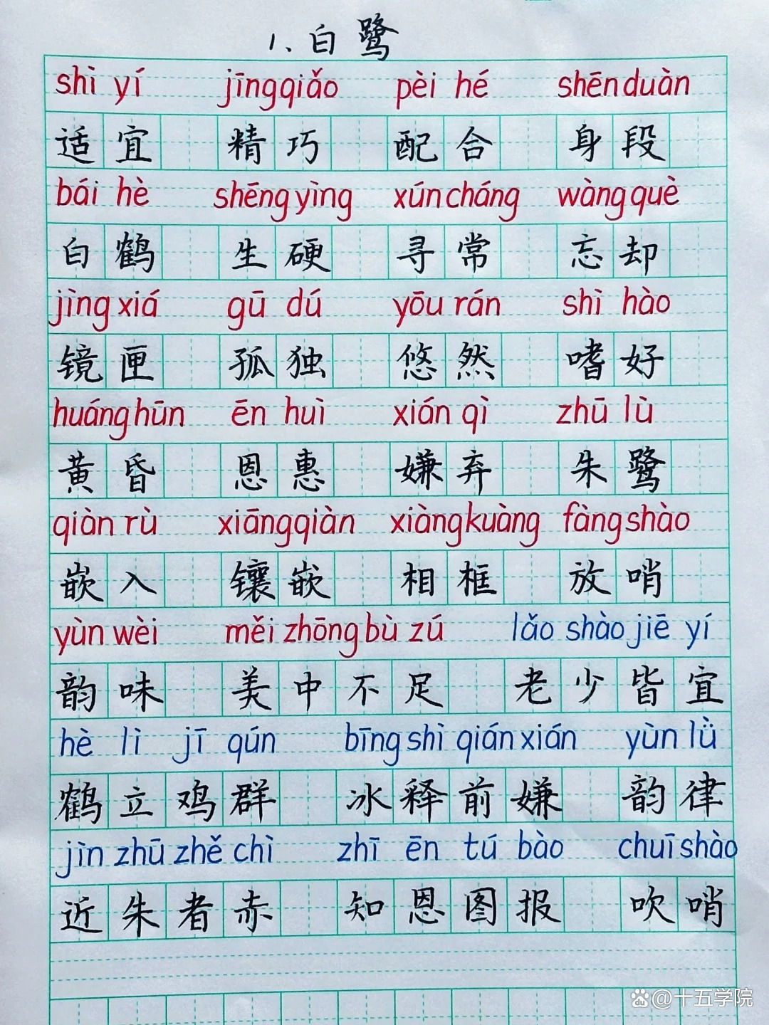 洁白的什么填词语(洁白的什么填空词语二年级)