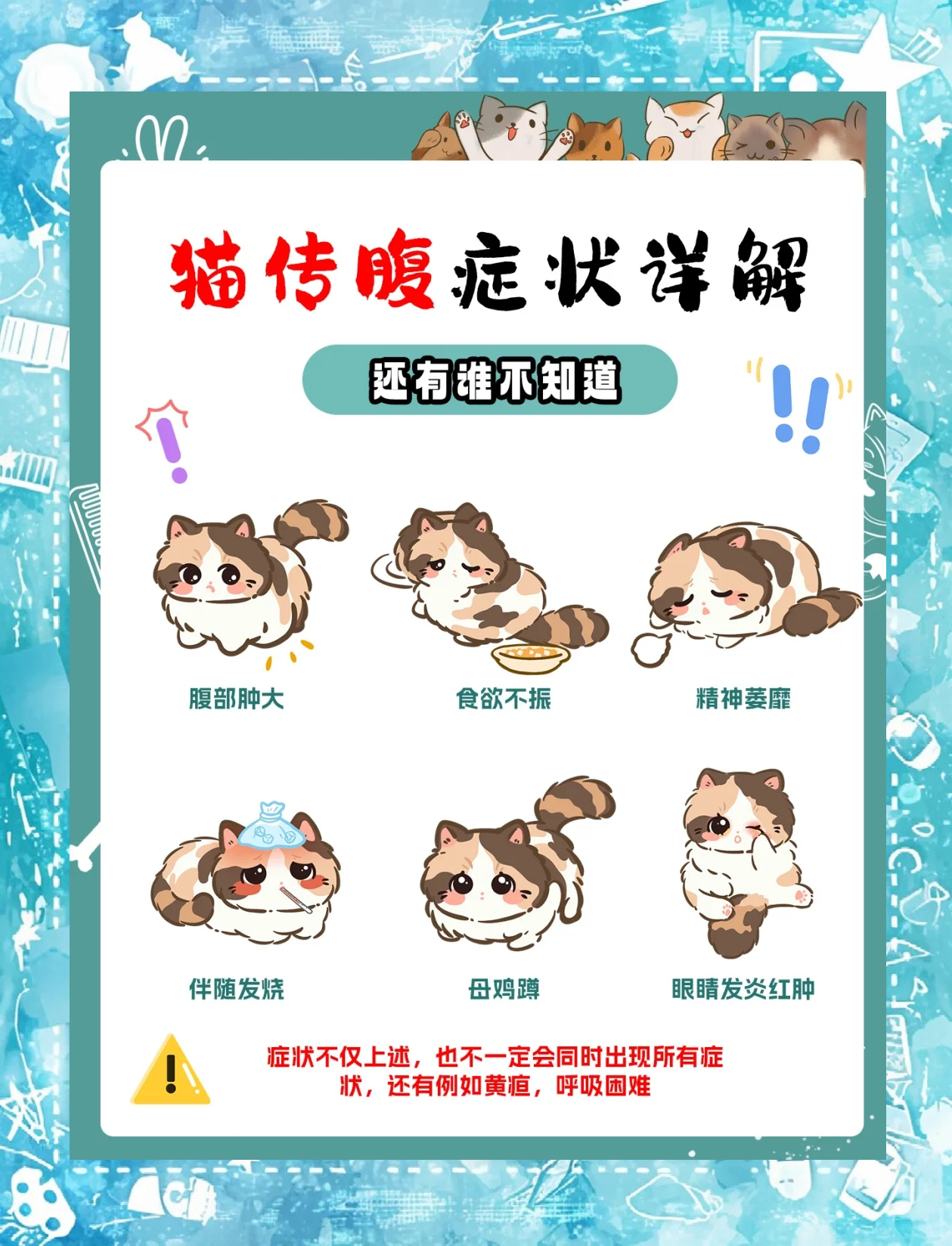 猫传腹快死的征兆(猫传腹治好后寿命多长)
