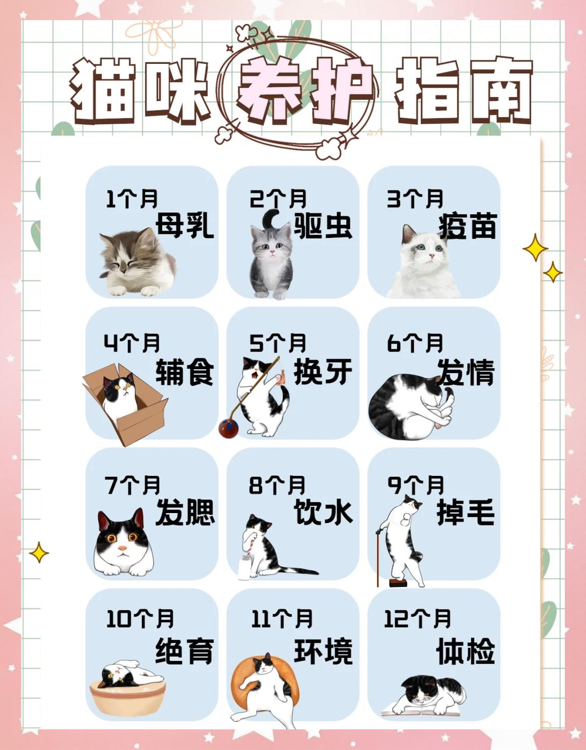 猫咪绝育后多久可以洗澡(猫咪绝育后多久可以洗澡公猫)