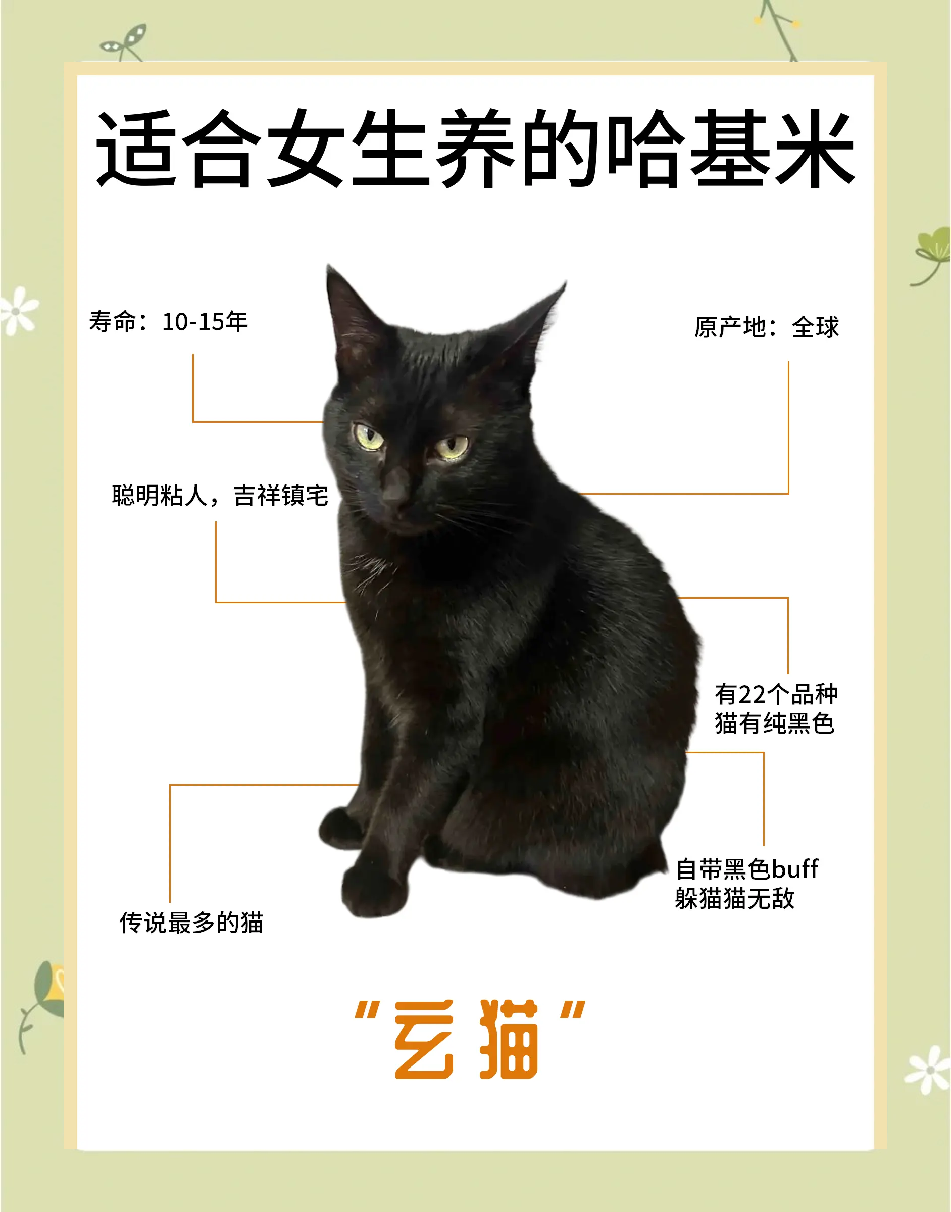 猫的克星是什么动物(猫的克星是什么动物图片)
