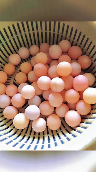 鳖蛋(鳖蛋的功效和吃法)