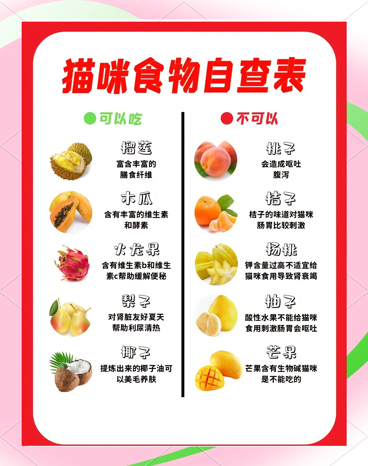 猫不能吃什么食物清单(猫绝对不能吃什么食物呢?)