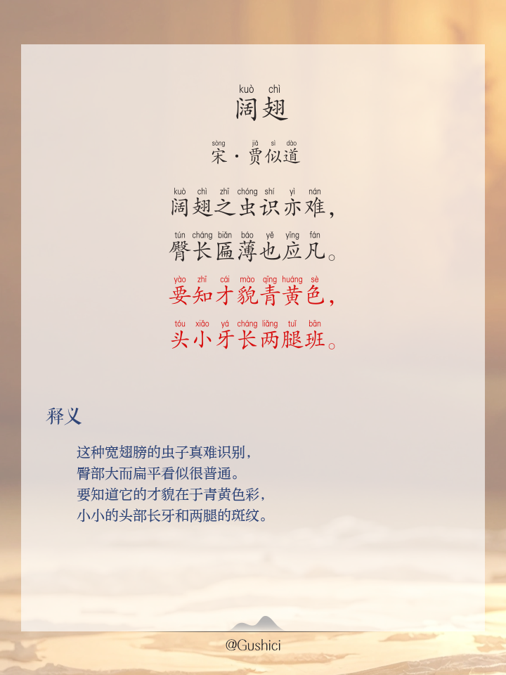 枭的拼音(枭的拼音怎么读) 枭的拼音(枭的拼音怎么读)
