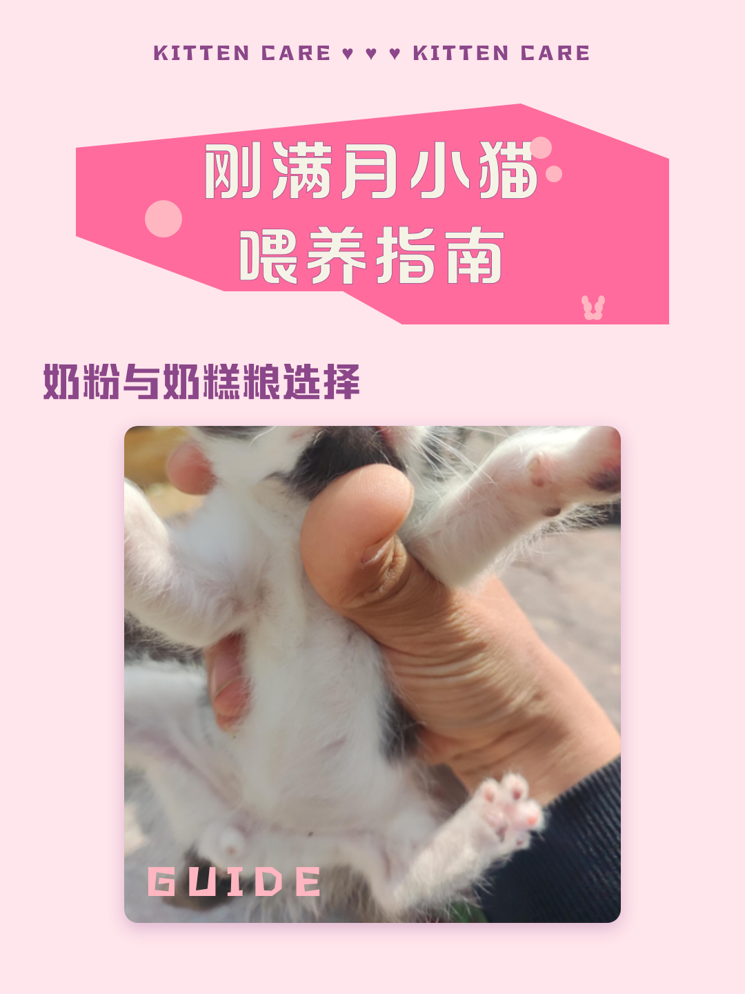 刚满月的小猫怎么喂养(刚满月小猫怎么喂养长得快) 刚满月的小猫怎么喂养(刚满月小猫怎么喂养长得快)