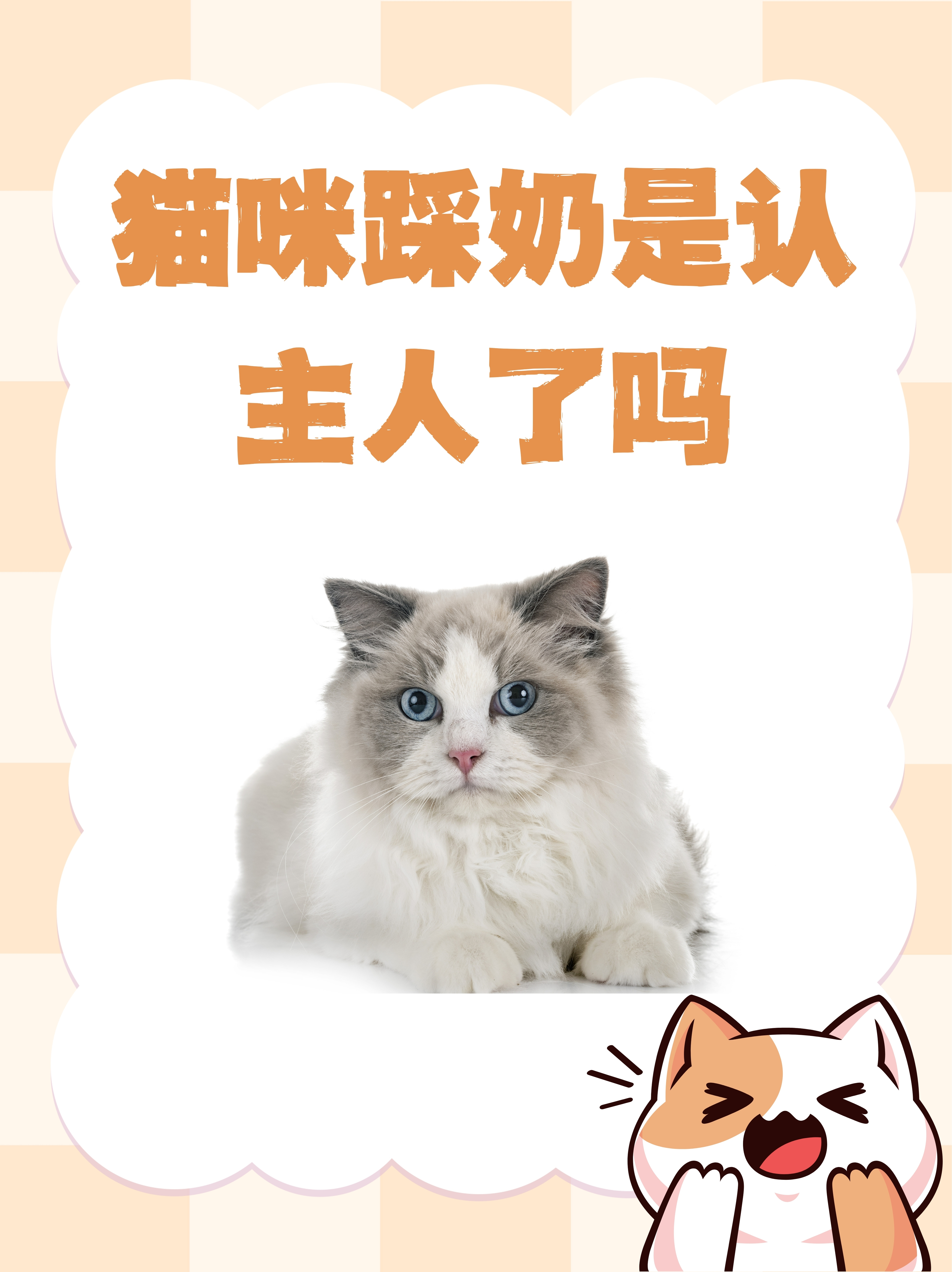 猫咪认识自己的主人吗(猫认识自己的爸爸妈妈吗) 猫咪认识自己的主人吗(猫认识自己的爸爸妈妈吗)