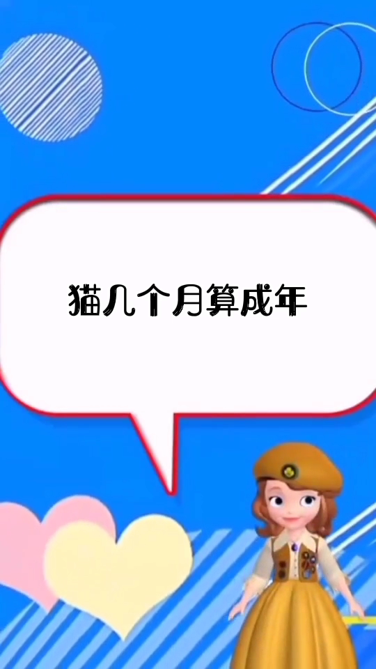 猫咪几岁算成年(猫一生认几个主人)