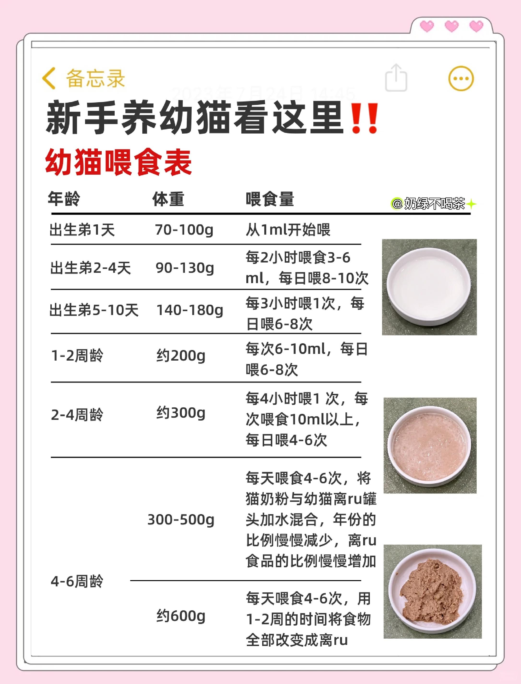 猫第一胎能生几只(猫第一胎能生多少只)