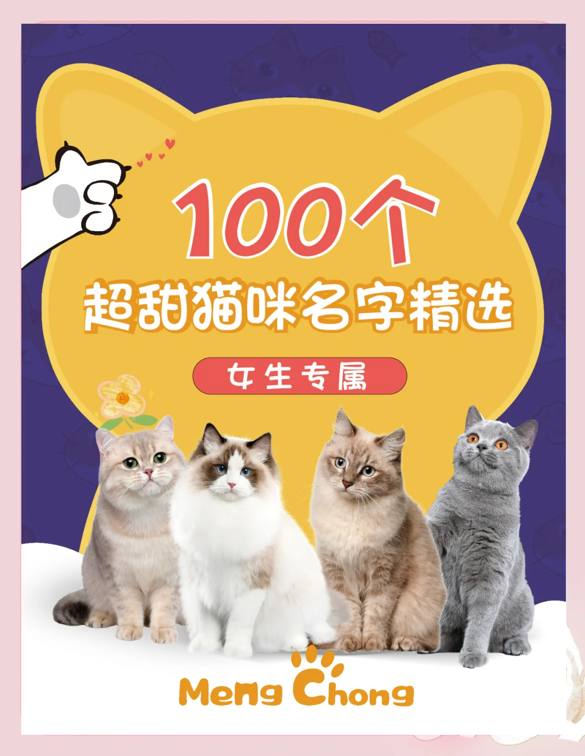 小猫名字可爱洋气(小猫名字可爱洋气而独特) 小猫名字可爱洋气(小猫名字可爱洋气而独特)