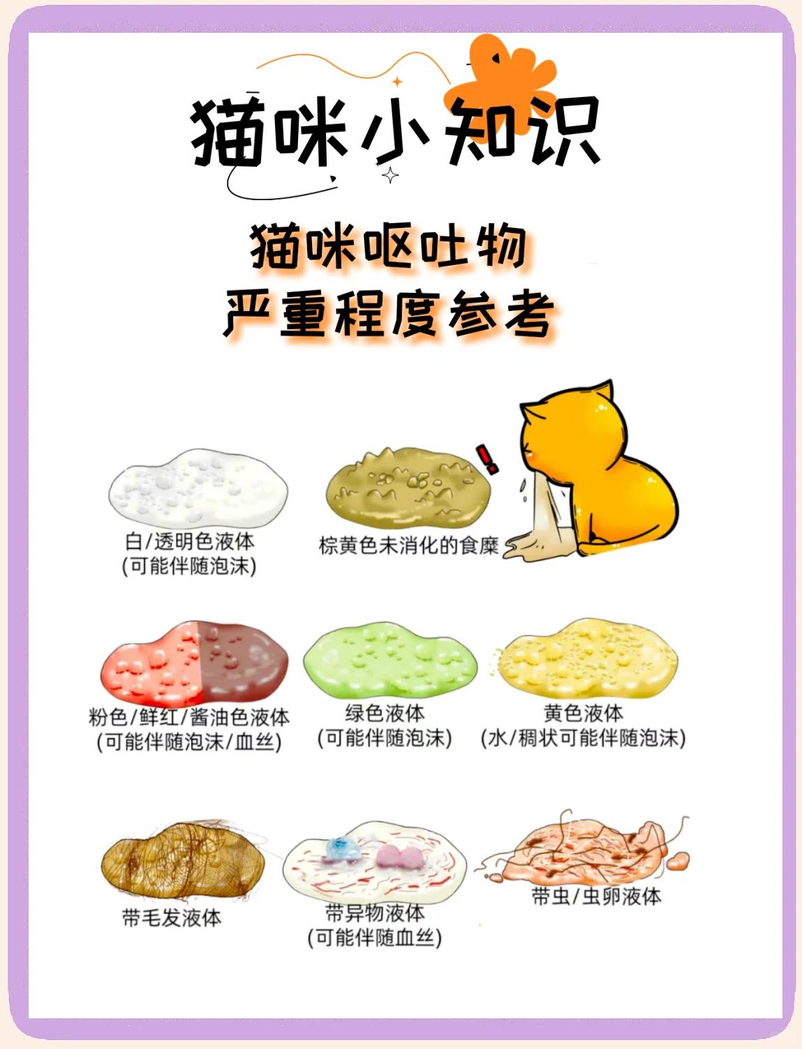 猫吐了猫粮和黄黄的糊是什么(猫咪吐整个的猫粮和吐黄水是咋回事) 猫吐了猫粮和黄黄的糊是什么(猫咪吐整个的猫粮和吐黄水是咋回事)
