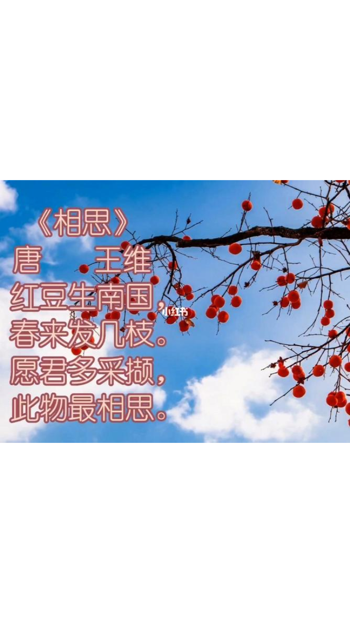 表示相思的诗句(表示相思的诗句简短) 表示相思的诗句(表示相思的诗句简短)
