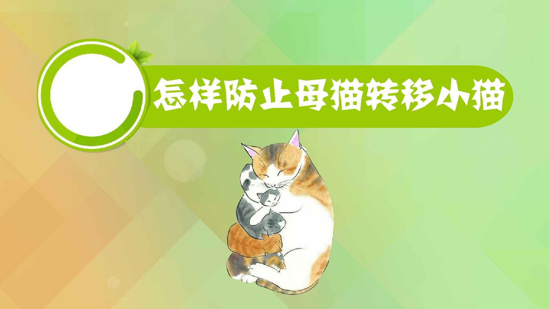 怎样防止母猫转移小猫(怎样防止母猫转移小猫的情绪呢)
