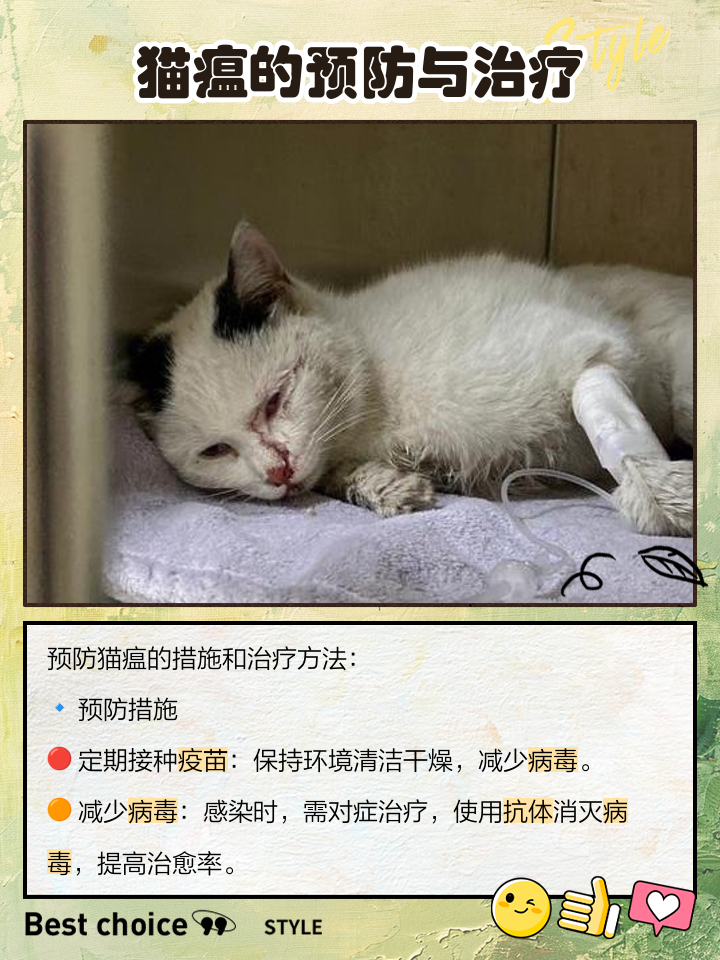 猫瘟有潜伏期吗(猫瘟的潜伏期最长是多少)