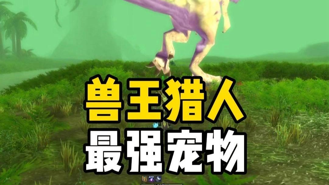 魔兽世界猎人宠物(魔兽世界猎人宠物忠诚度怎么提高)