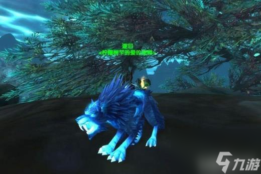 魔兽世界猎人宠物(魔兽世界猎人宠物忠诚度怎么提高)
