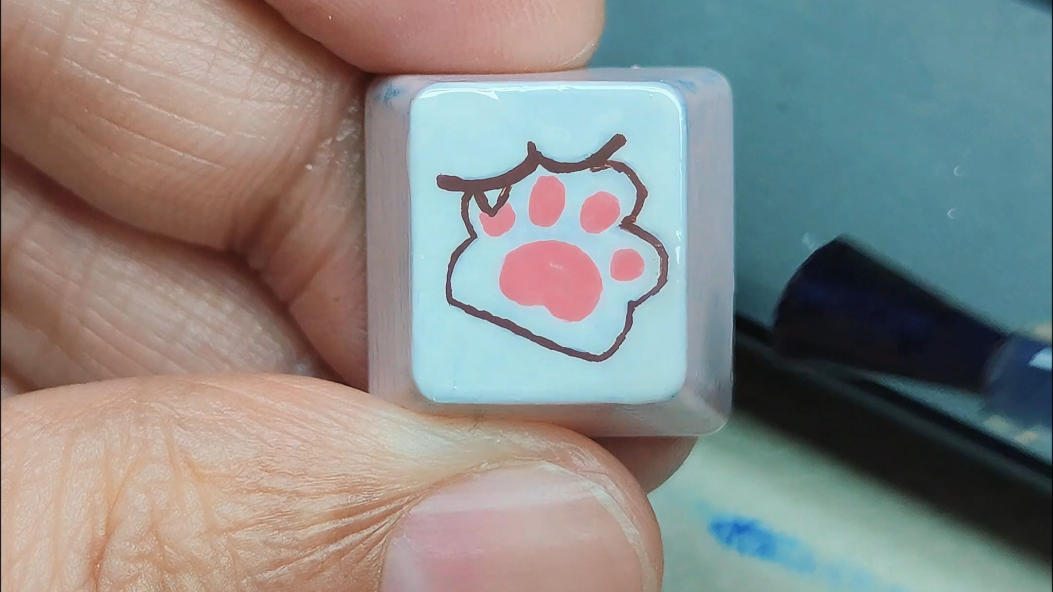 猫爪怎么画(猫爪怎么画好看)