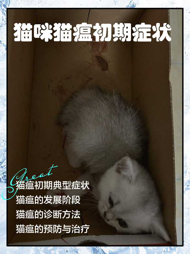 猫咪发烧40度是猫瘟吗(猫咪发烧40度是猫瘟吗怎么办)