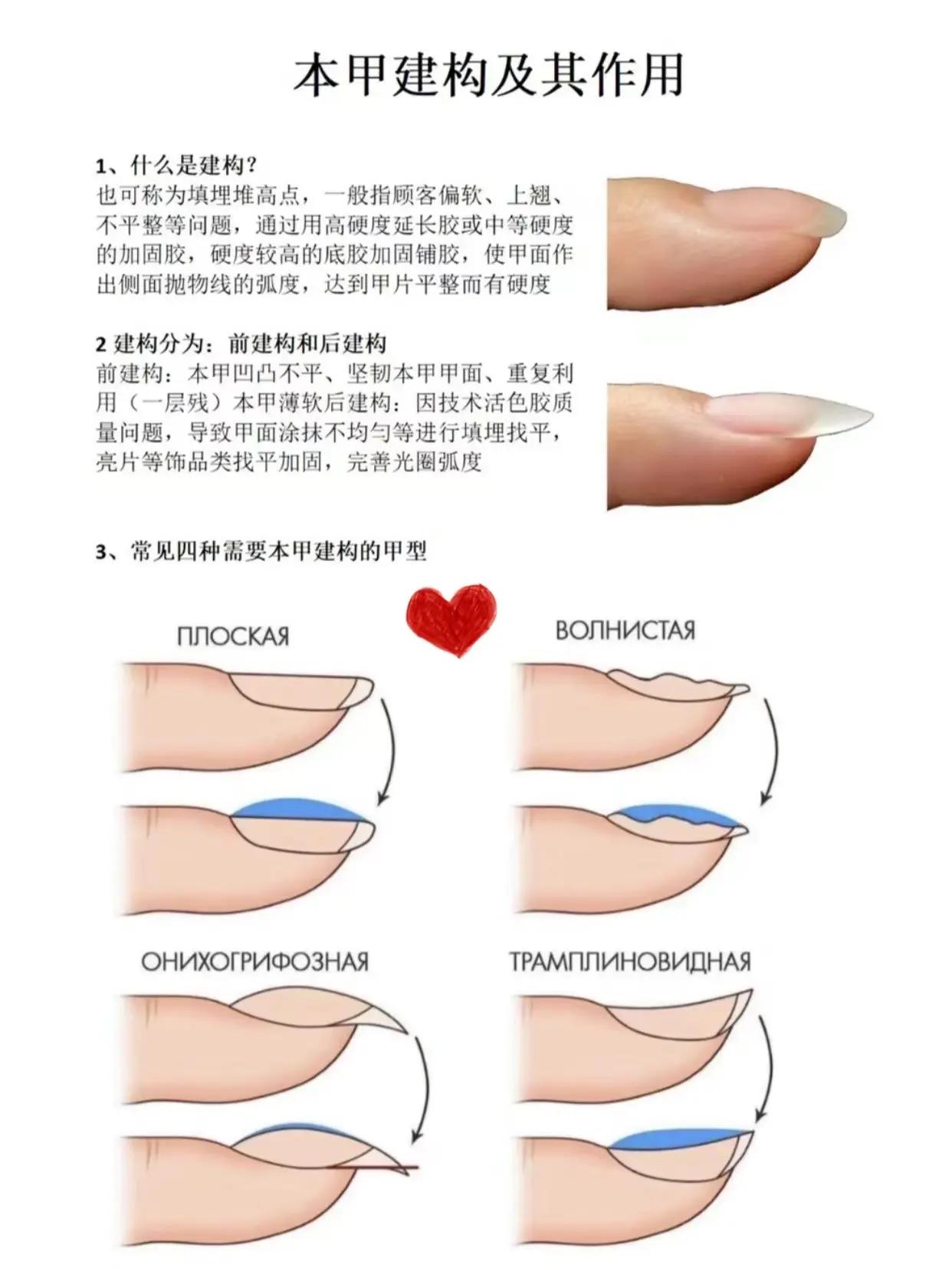 指甲的拼音(指甲的拼音是几声)