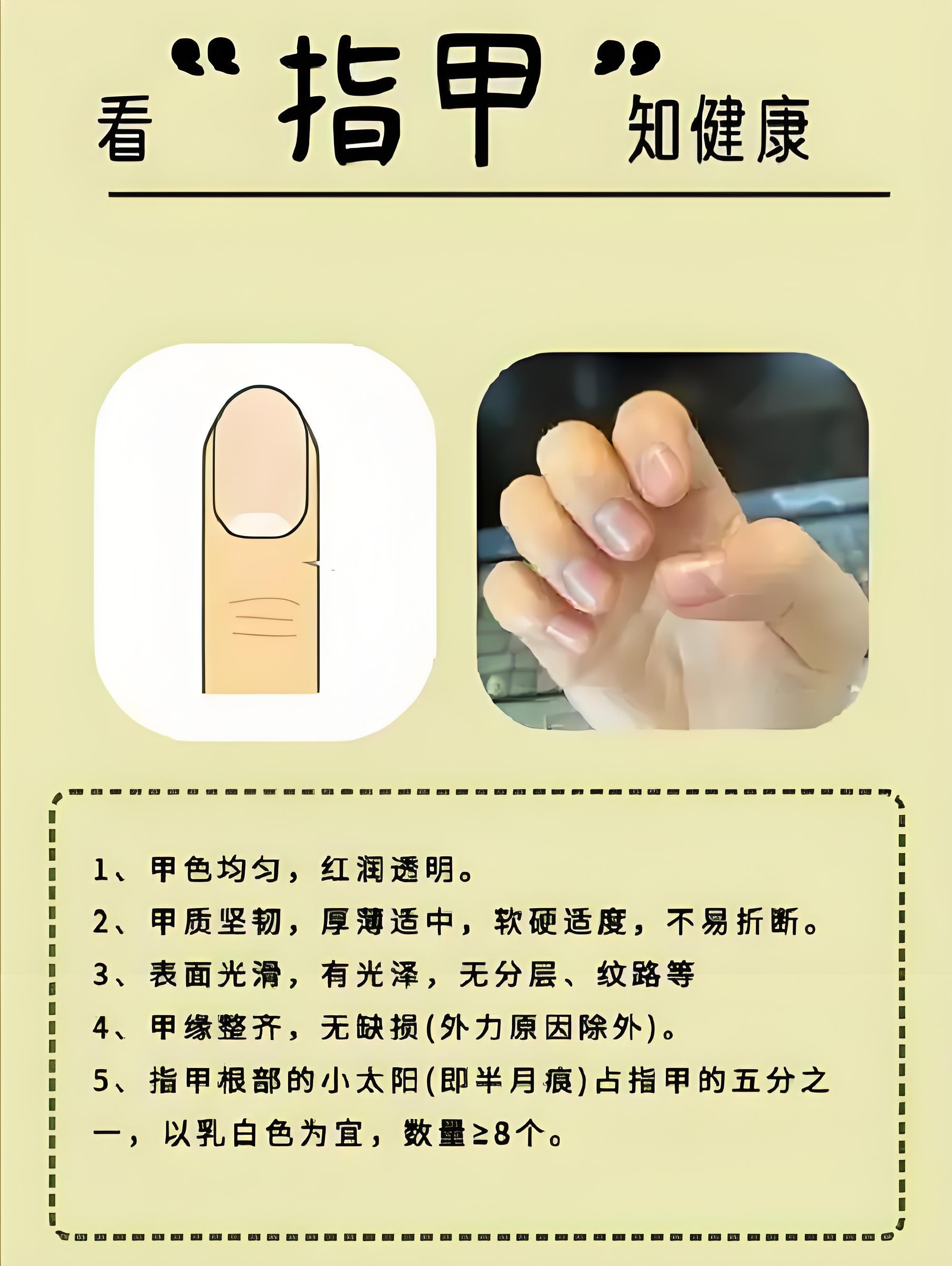 指甲的拼音(指甲的拼音是几声)