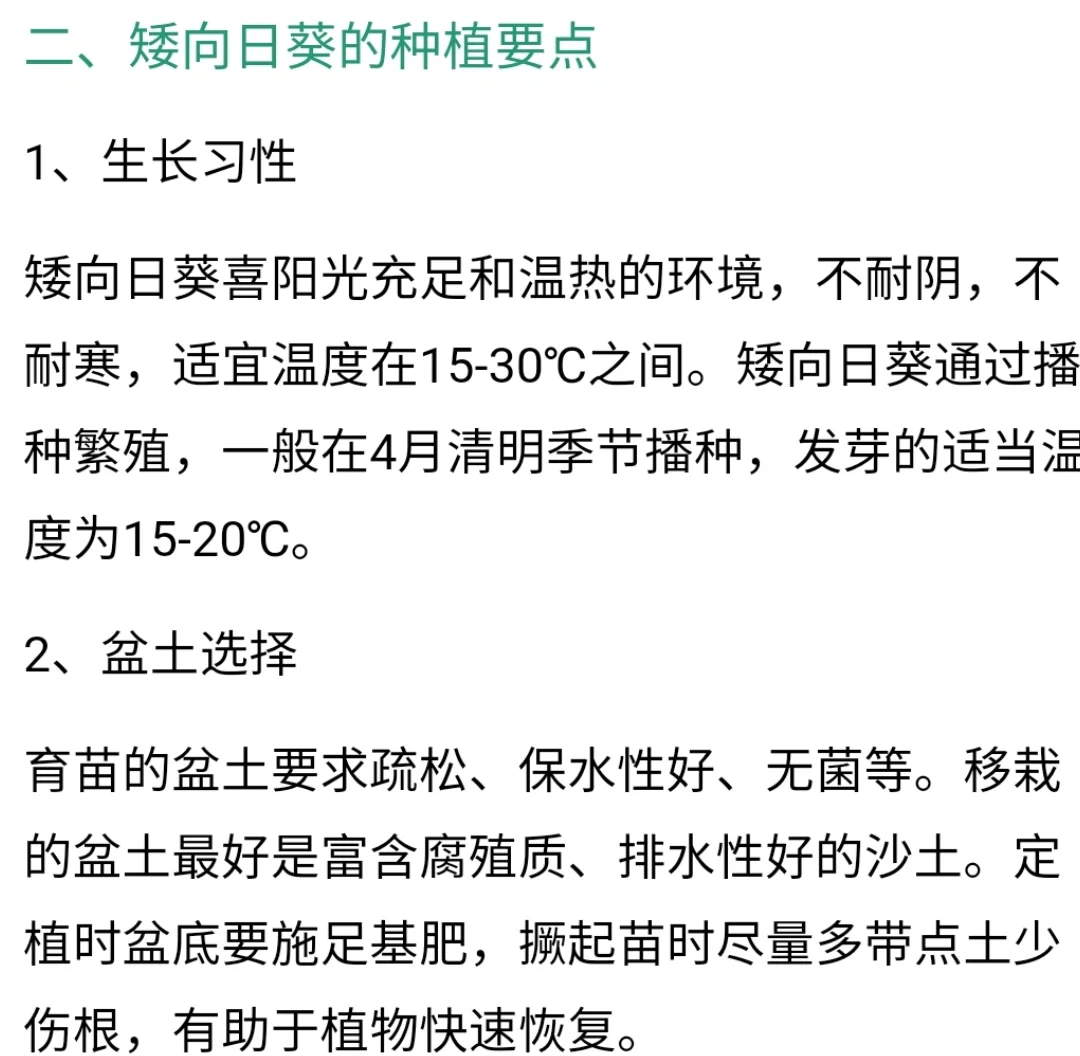 向日葵一年可以种几次(向日葵一年可以种几次种子)