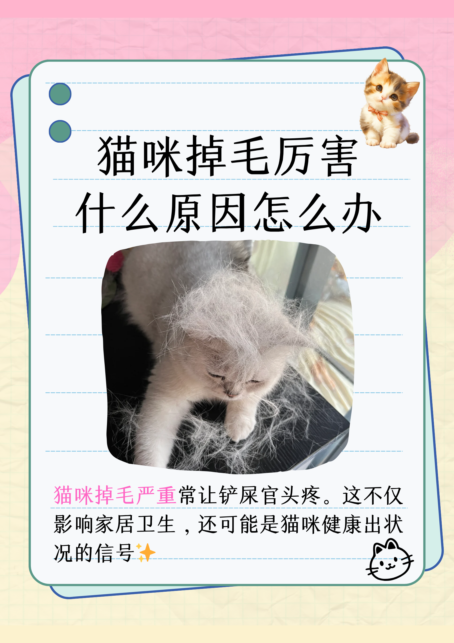 白猫为什么不吉利(白猫为什么不吉利的原因) 白猫为什么不吉利(白猫为什么不吉利的原因)