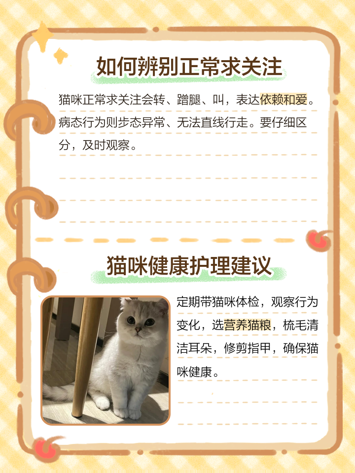 猫咪围着我转圈蹭我是什么意思(猫咪围着我转圈蹭我还喵喵叫很着急)