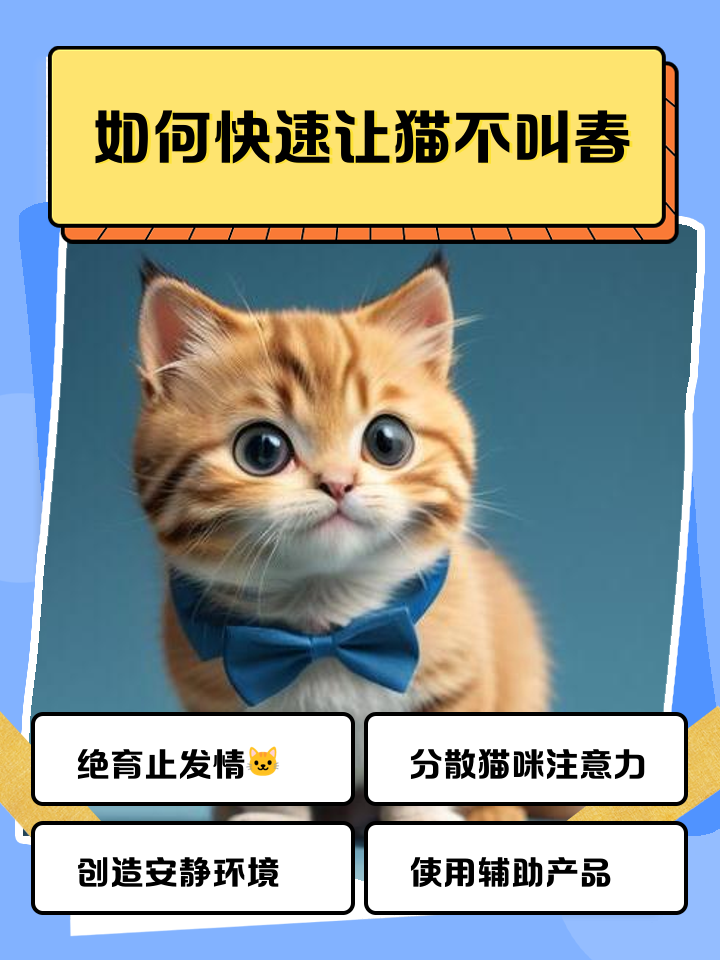 猫叫春(猫叫春怎么才能不让他叫)
