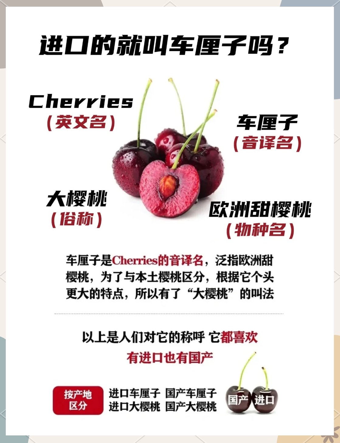 樱桃车厘子的区别(樱桃车厘子的区别在哪里)