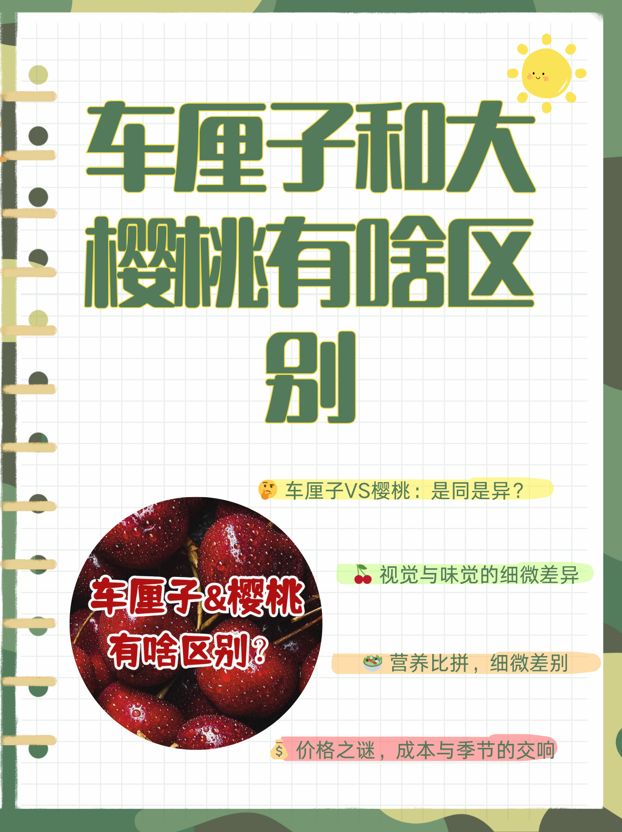 樱桃车厘子的区别(樱桃车厘子的区别在哪里)