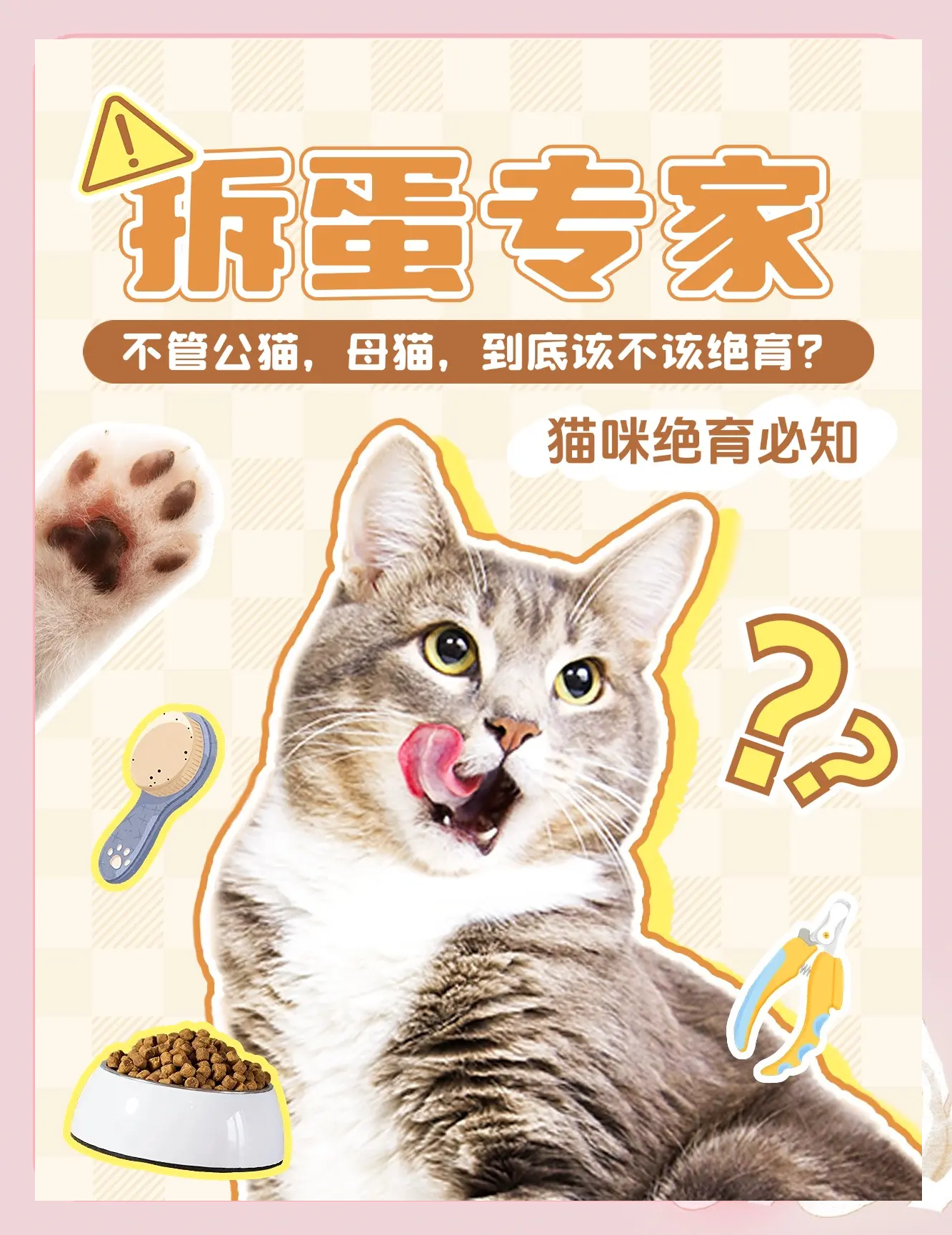 国外为什么禁止给猫绝育(母猫可不可以一辈子不绝育)