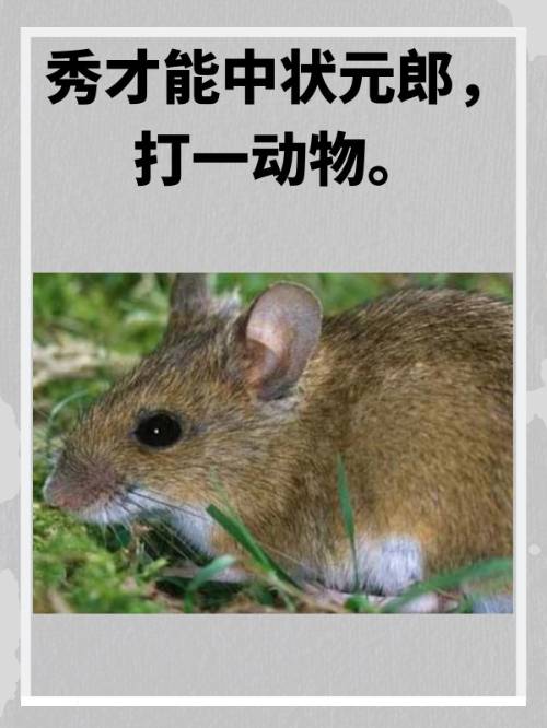 肯字开头的成语(肯字开头的成语500个)