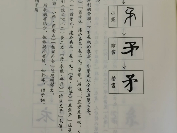茅的组词(茅的组词和部首和拼音)