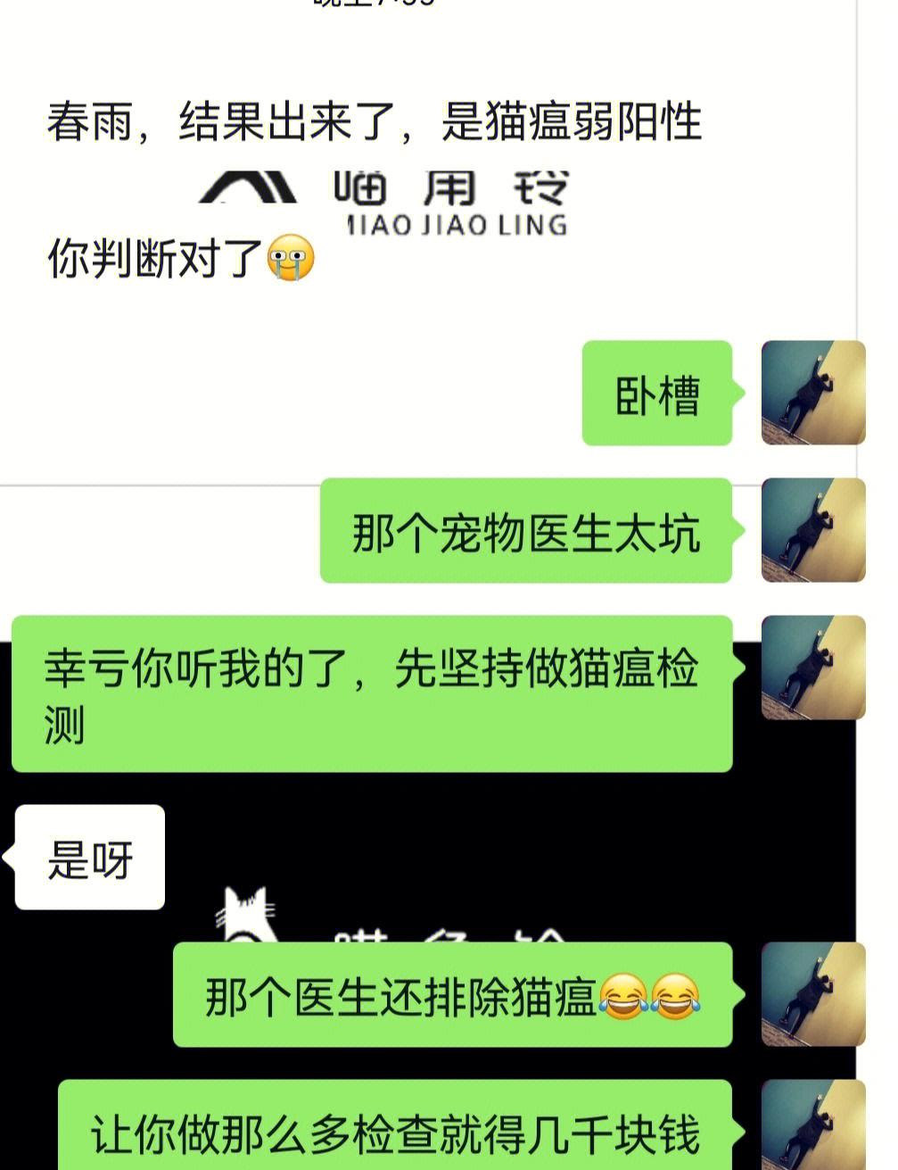 怎么判断猫咪得了猫瘟(怎么判断猫咪是不是得了猫瘟)