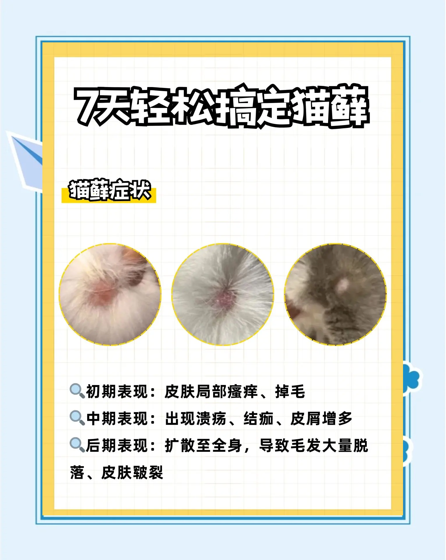 猫瘟潜伏期多长(猫瘟潜伏期多长时间发病)