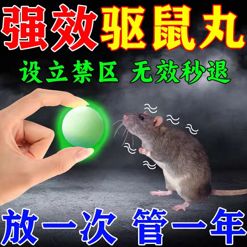 樟脑丸能驱赶老鼠吗(老鼠最怕的气味第一名)