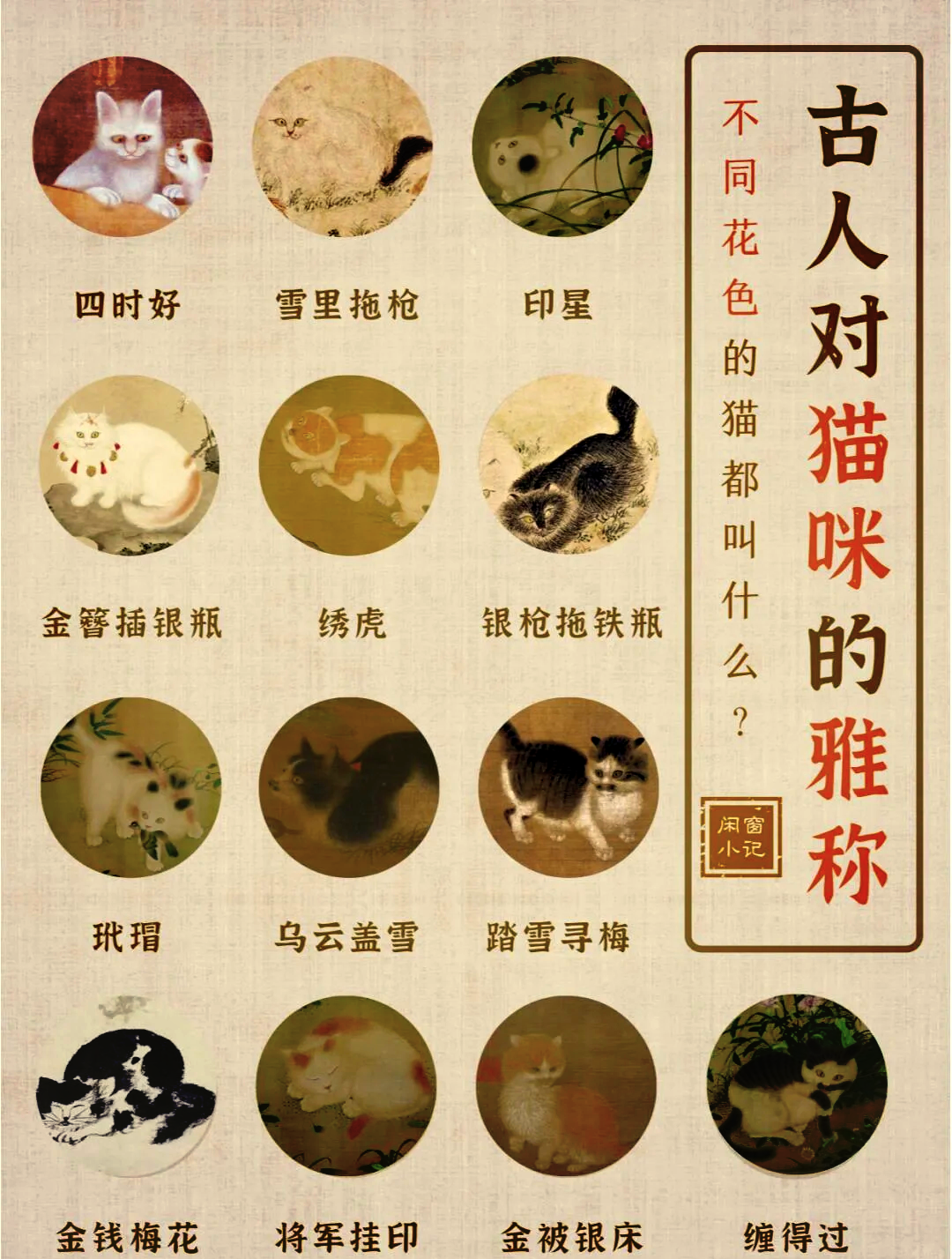 男猫咪名字(男猫咪名字霸气) 男猫咪名字(男猫咪名字霸气)