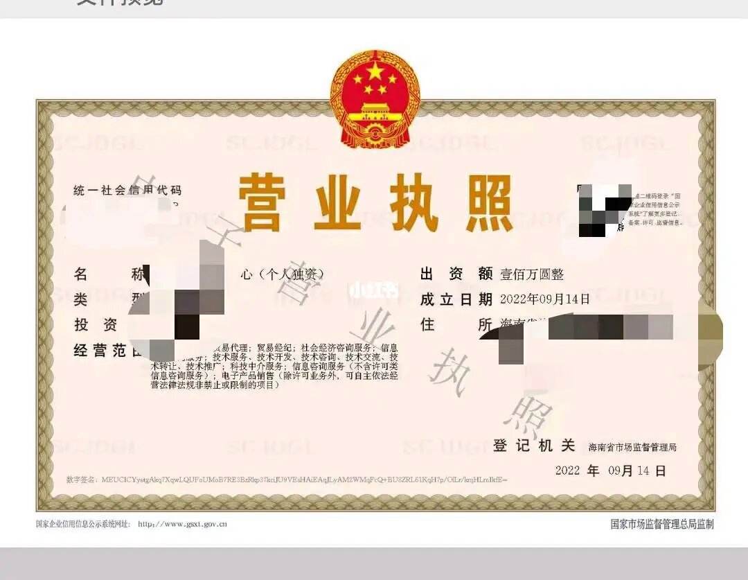 海南工商注册(海南工商注册服务平台)