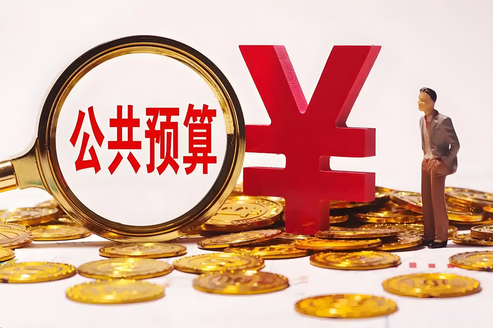 一般公共预算(一般公共预算财政拨款收入) 一般公共预算(一般公共预算财政拨款收入)