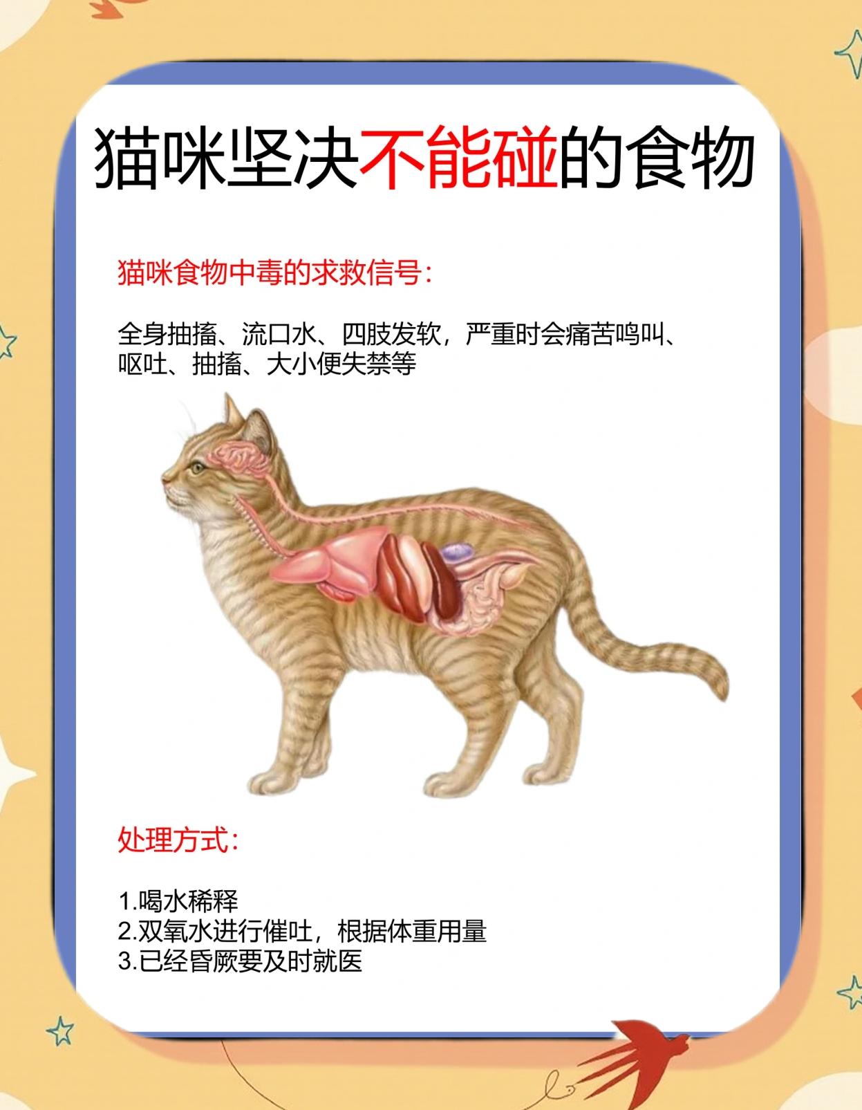 猫可以吃胡萝卜吗(猫能不能吃胡萝卜?)