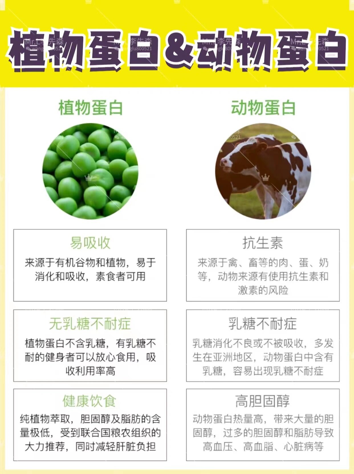 动物蛋白与植物蛋白区别(动物蛋白和植物蛋白一样吗?) 动物蛋白与植物蛋白区别(动物蛋白和植物蛋白一样吗?)