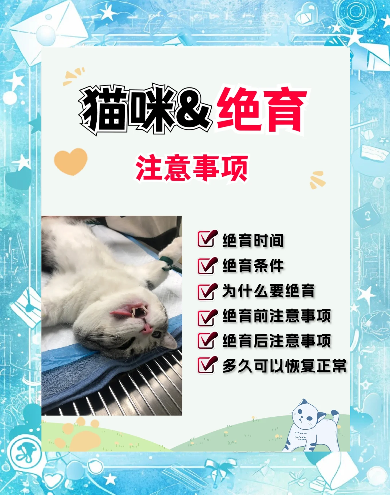 猫咪绝育前禁食几小时(猫绝育前忘了禁食禁水了)