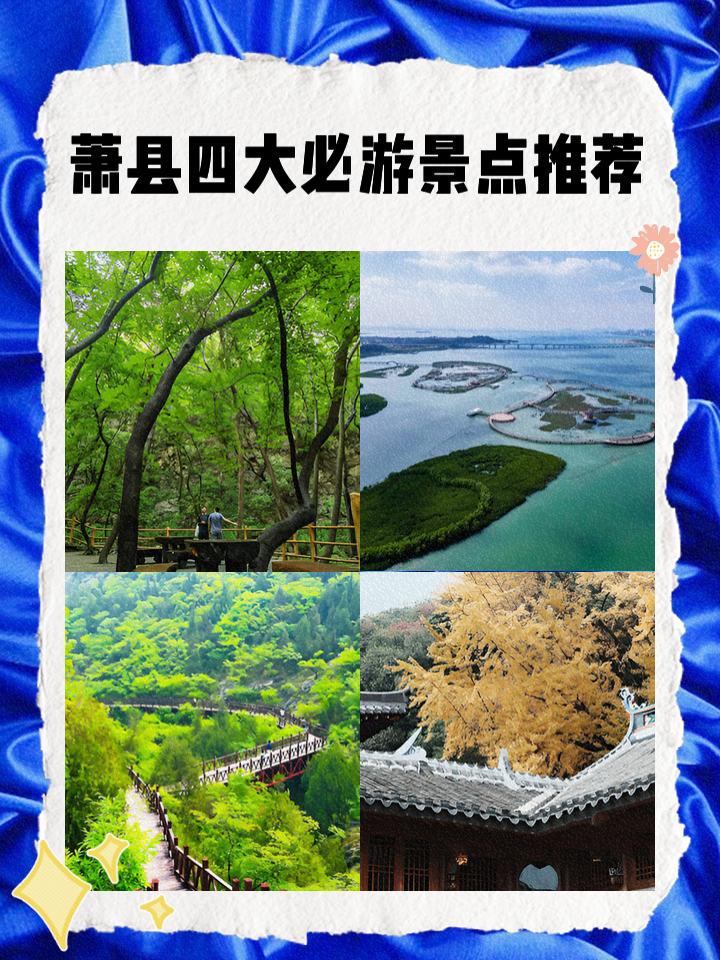 安徽萧县属于哪个市(安徽萧县属于哪个市牡丹花)