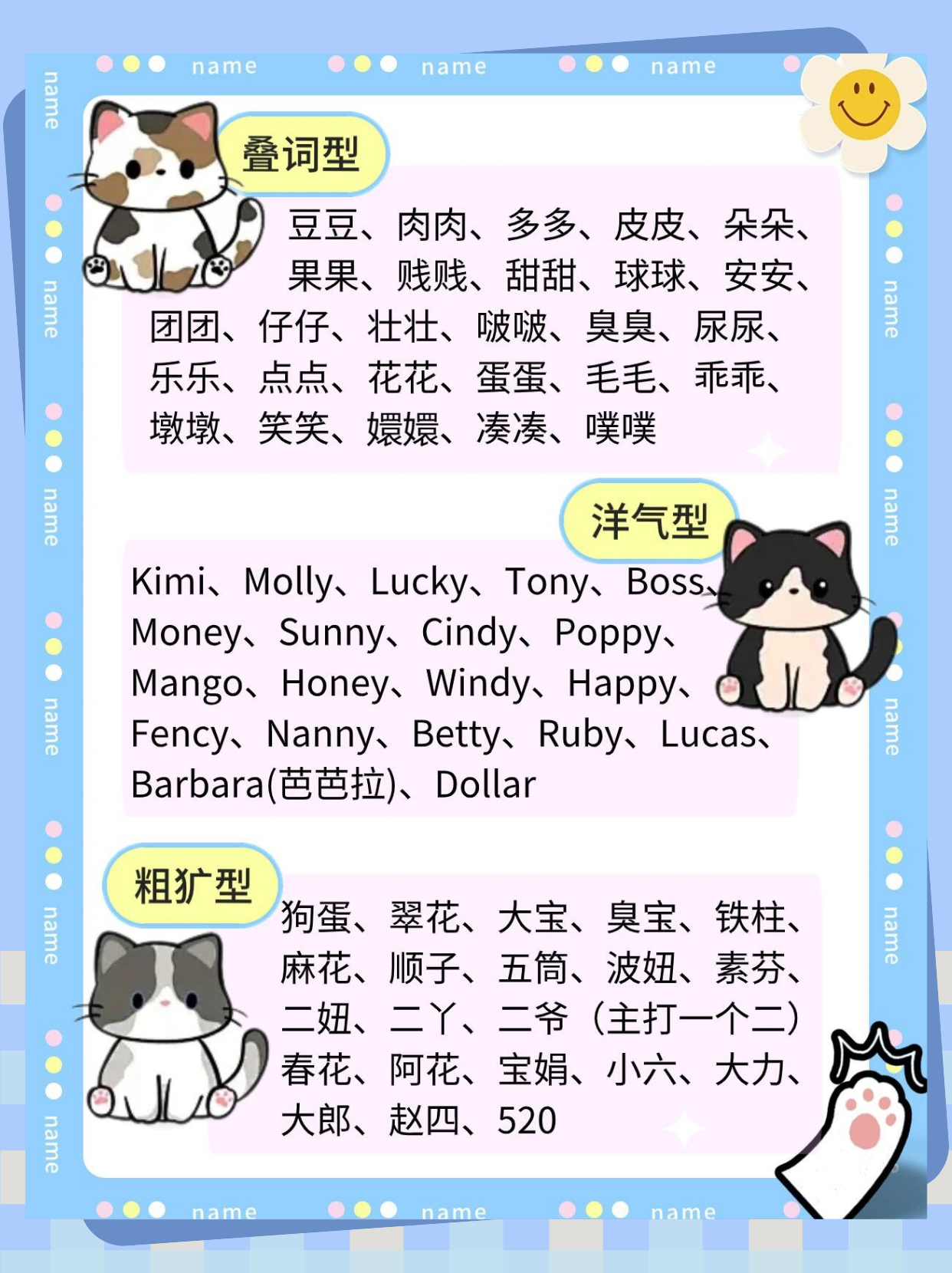 宠物猫的名字(宠物猫十大排名)