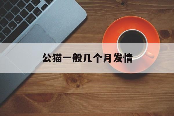 公猫一般几个月发情(公猫一般几个月发情正常)