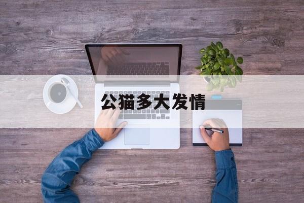 公猫多大发情(公猫多大发情,什么症状)