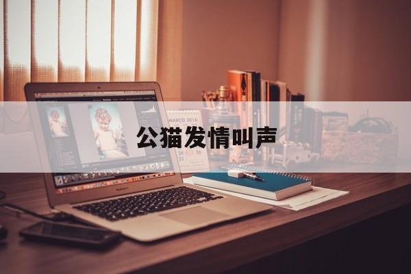 公猫发情叫声(公猫发情叫声播播放)